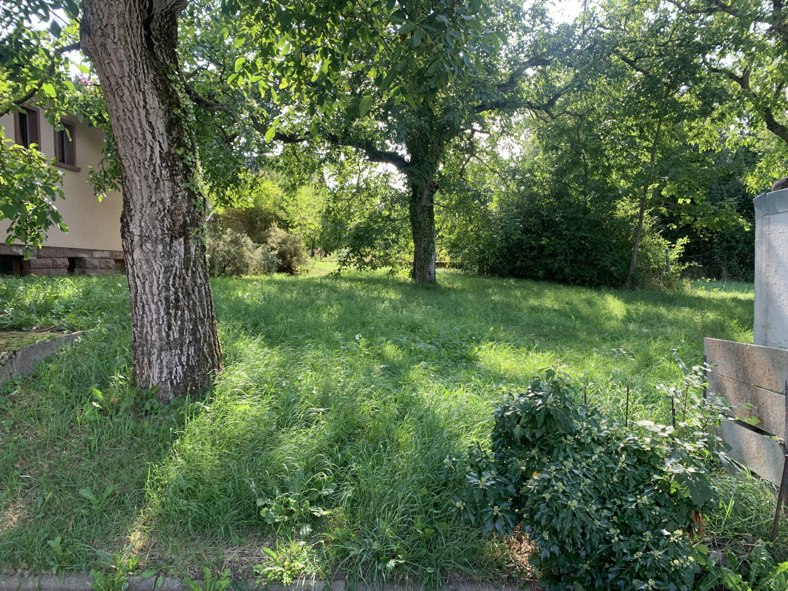 Image_, Maison, Saverne, ref :237