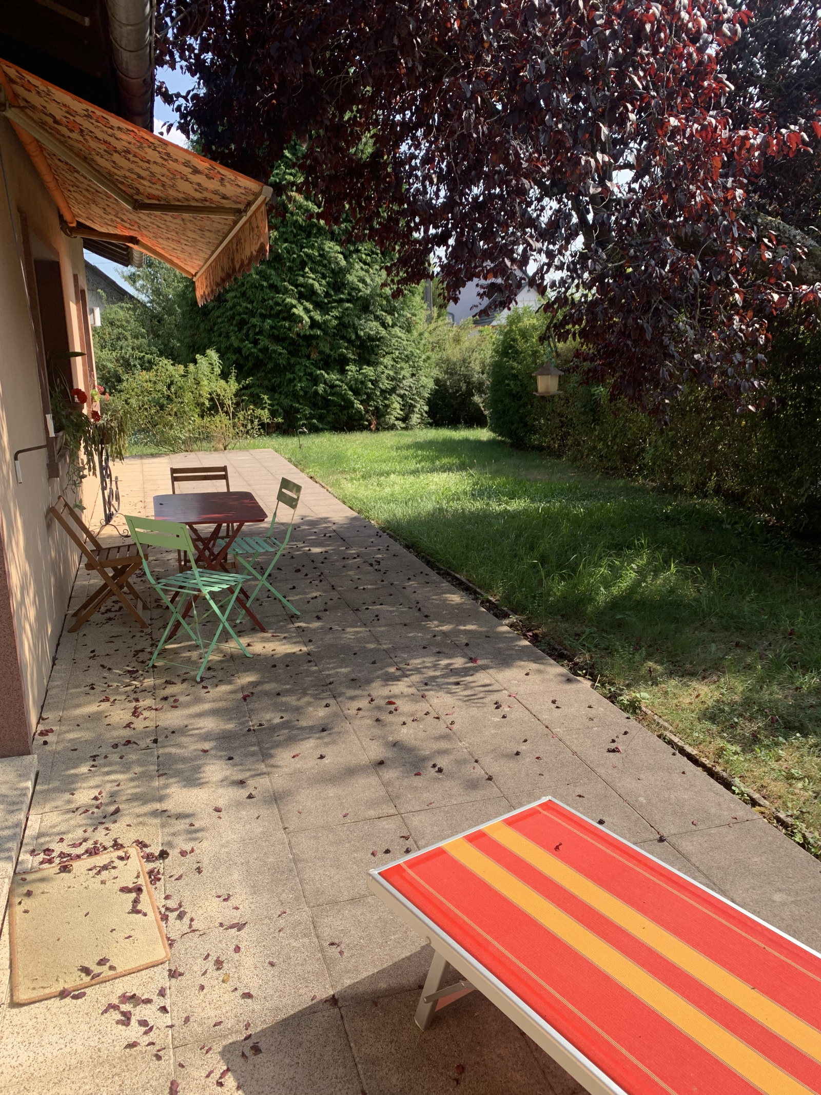 Image_, Maison, Saverne, ref :237