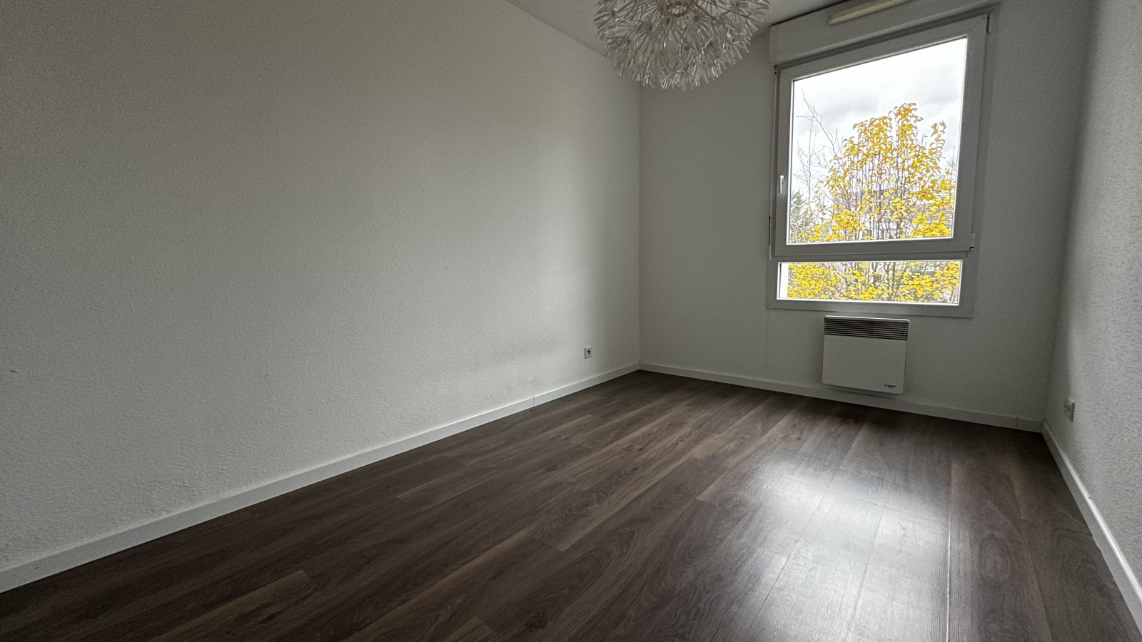 Image_, Appartement, Saverne, ref :75