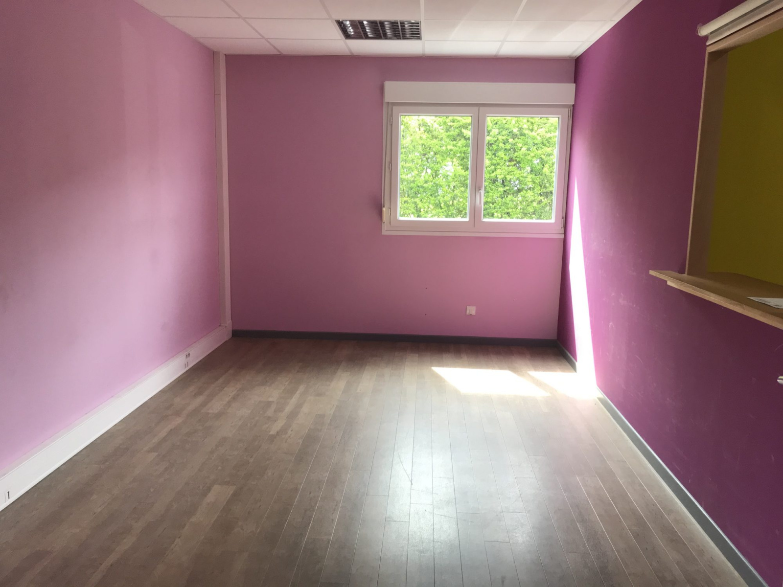 Image_, Local professionnel, Monswiller, ref :210