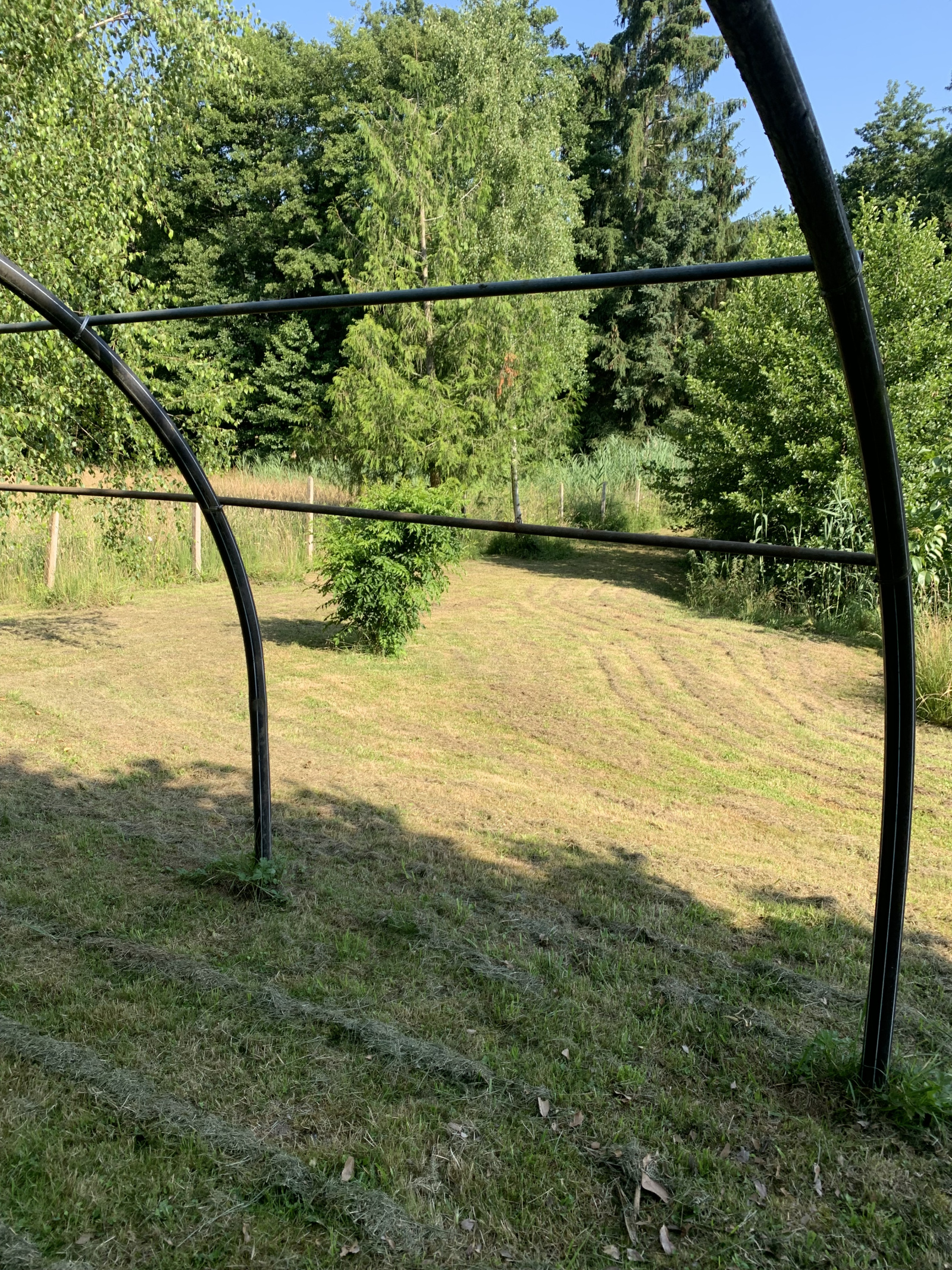 Image_, Terrain, Ernolsheim-lès-Saverne, ref :225