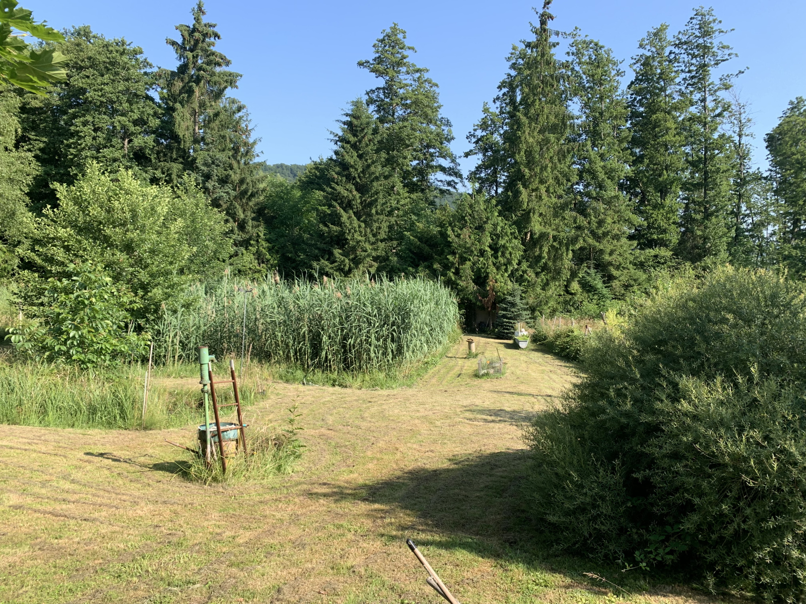 Image_, Terrain, Ernolsheim-lès-Saverne, ref :225