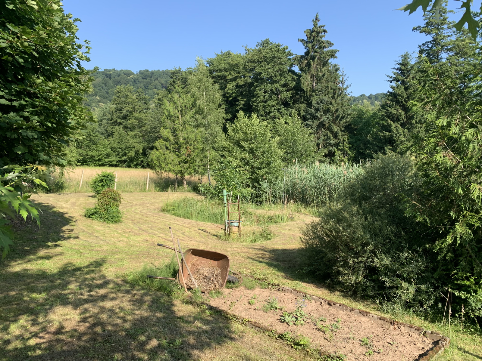 Image_, Terrain, Ernolsheim-lès-Saverne, ref :225
