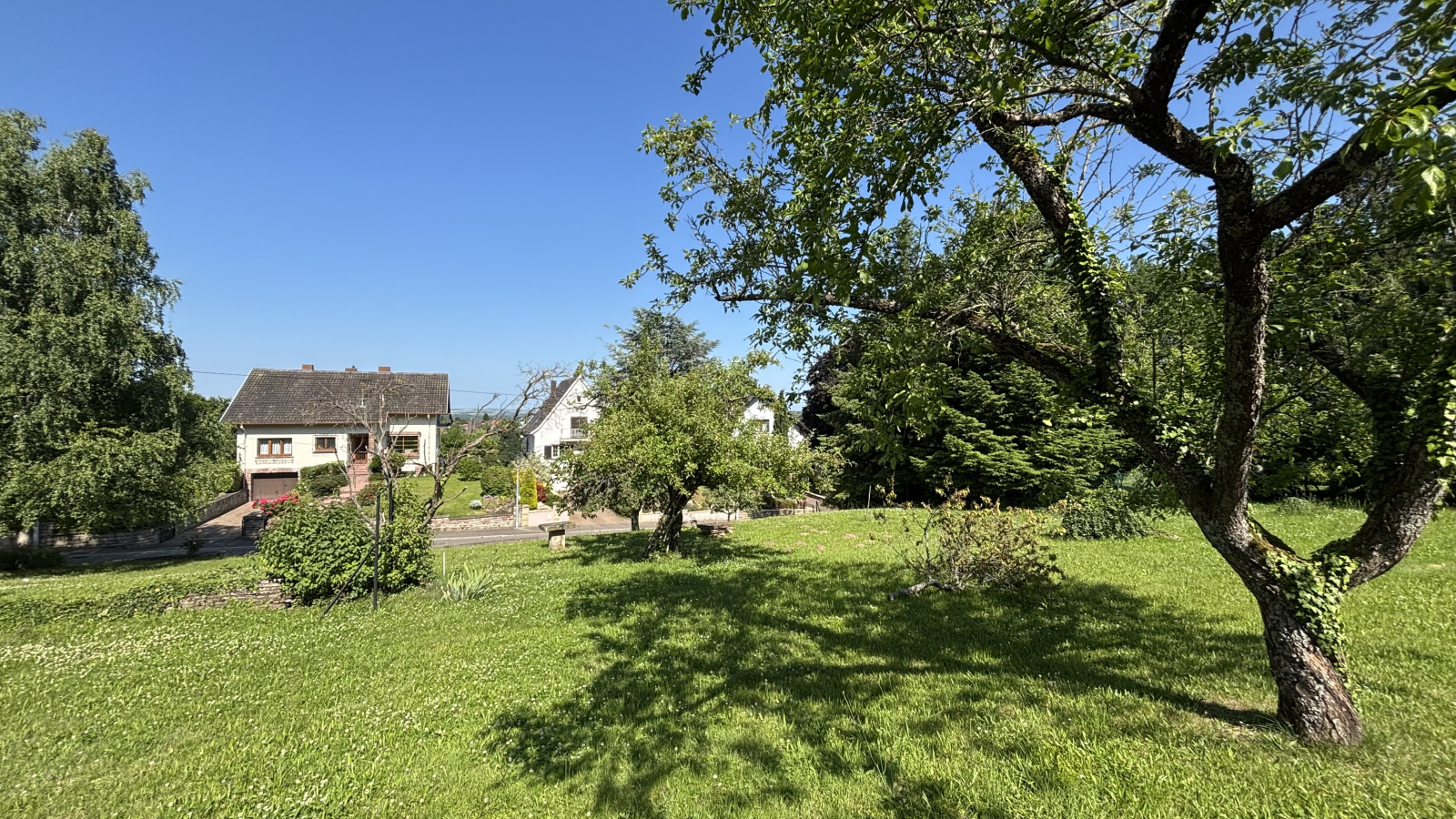 Image_, Terrain, Ottersthal, ref :220