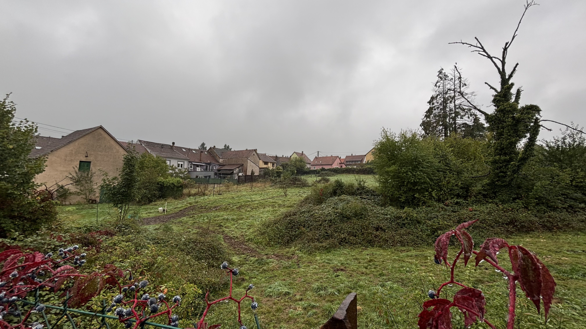 Terrain constructible à vendre à Lutzelhouse, 2 800 m² – photo 1 sur 5