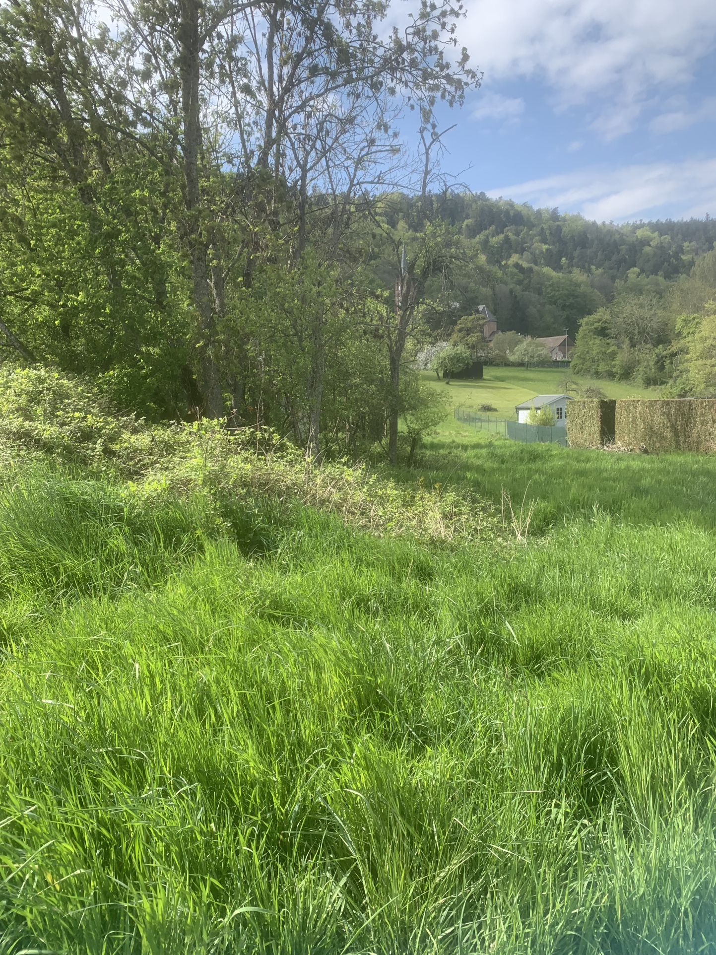 Terrain à vendre à Reinhardsmunster, 1 900 m² – photo 2 sur 4