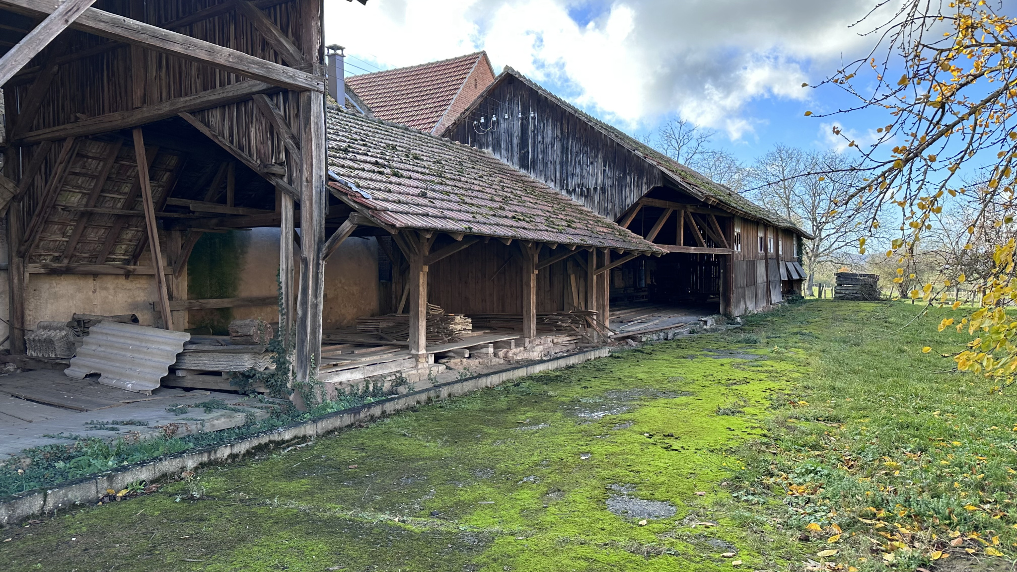 Terrain à vendre à Altenheim, 1 350 m² – photo 3 sur 4