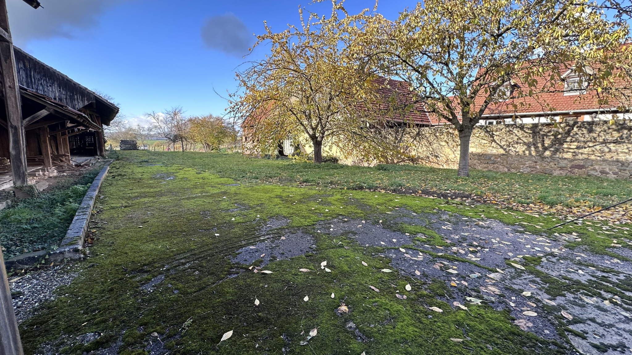 Terrain à vendre à Altenheim, 1 350 m² – photo 1 sur 4