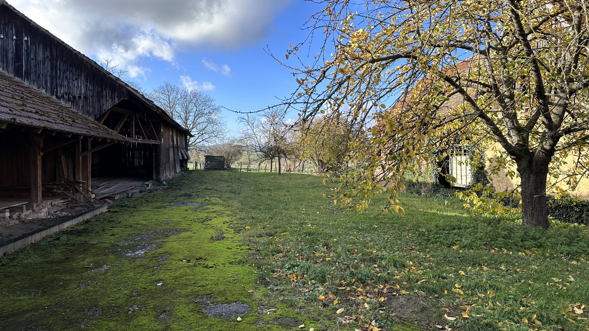 Terrain à vendre à Altenheim, 1 350 m² – photo 2 sur 4