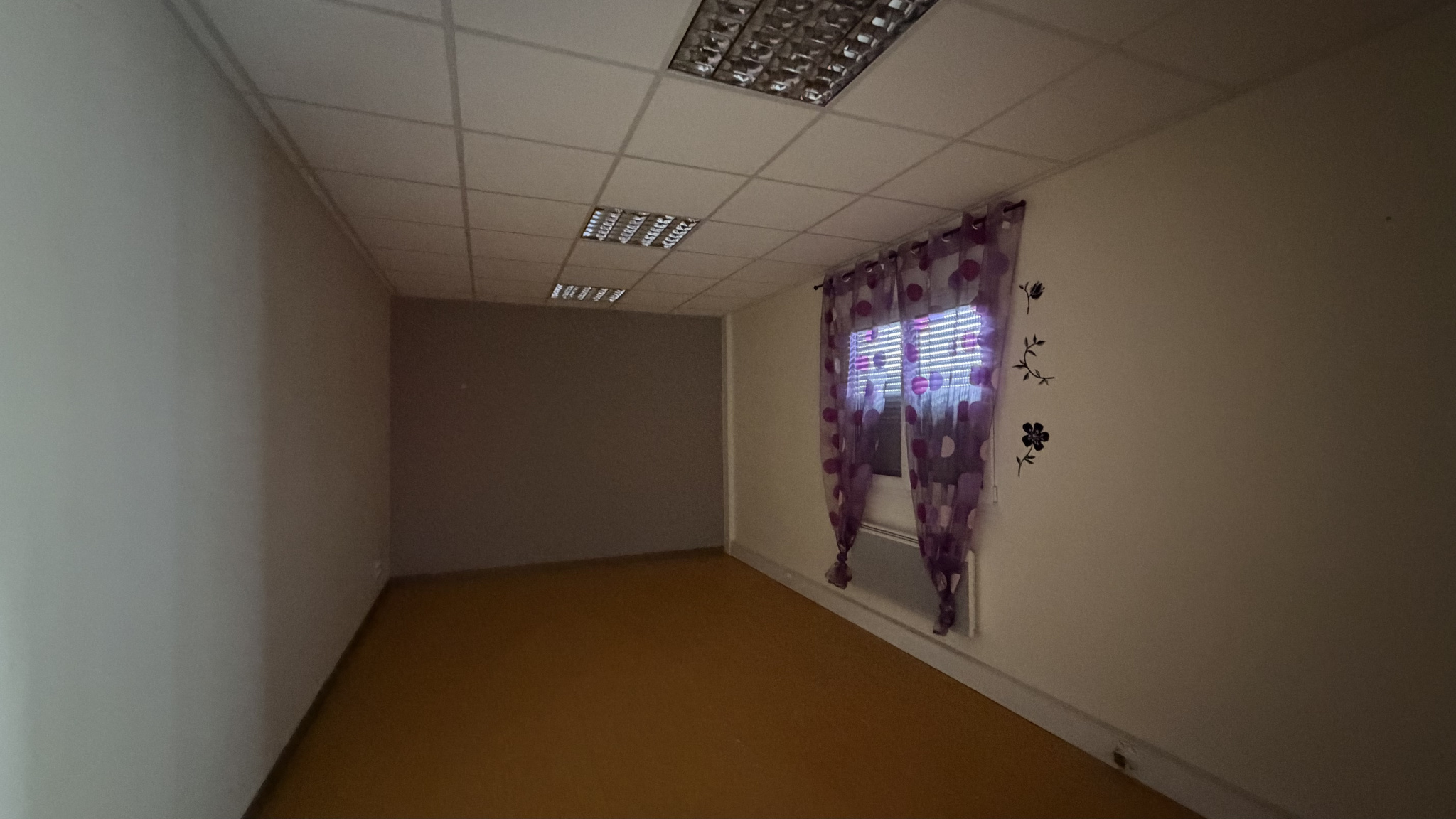 Local commercial à louer à Monswiller, 530 m² – photo 3 sur 4