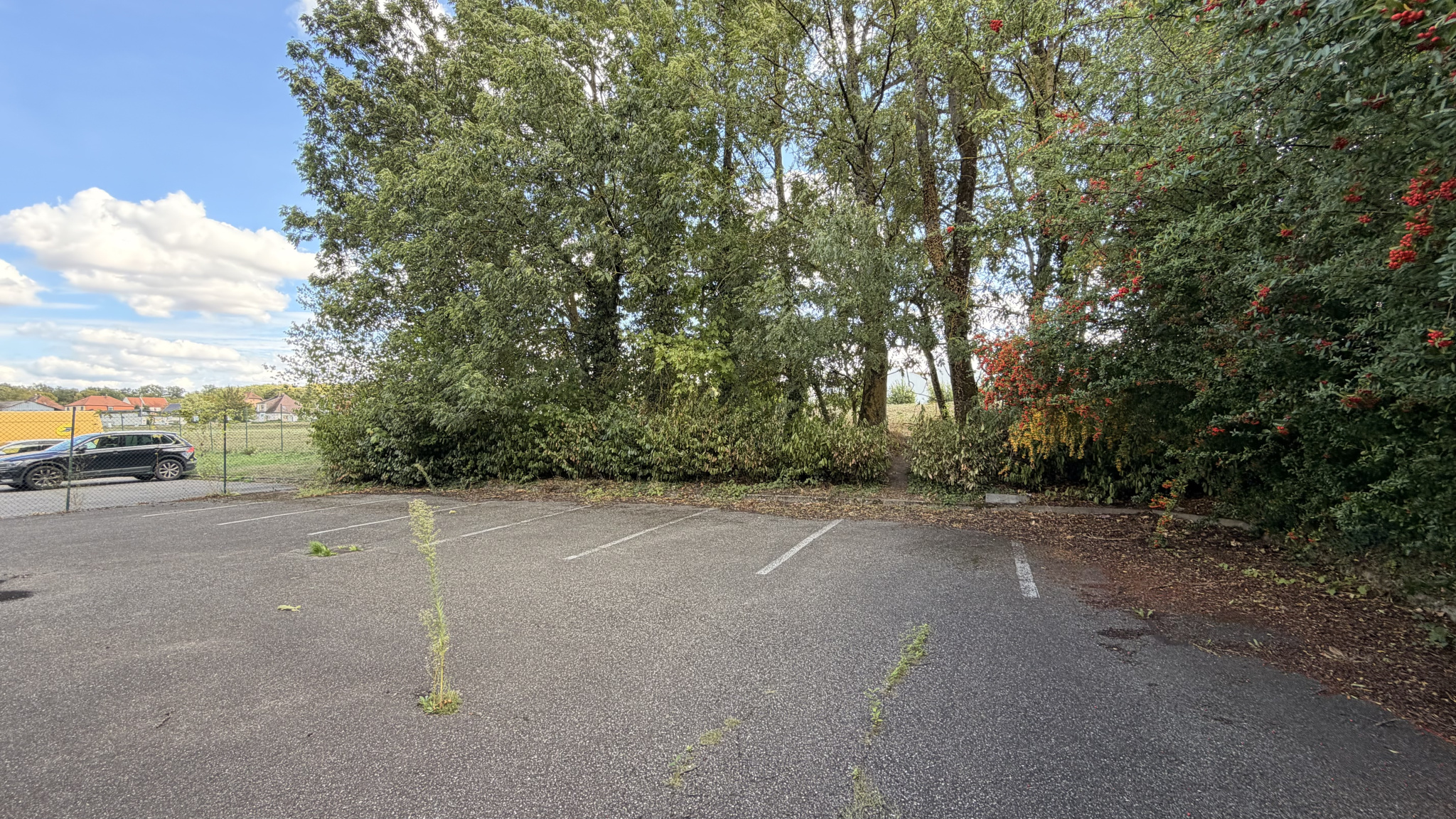 Local commercial à louer à Monswiller, 530 m² – photo 2 sur 4